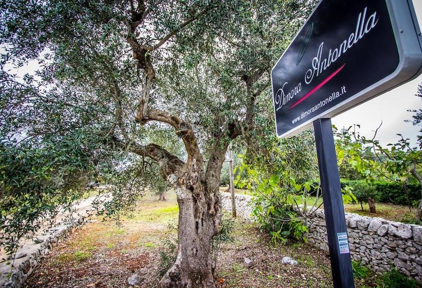 Bed and Breakfast Dimora Antonella  | Ostuni | Brindisi | Italia 10