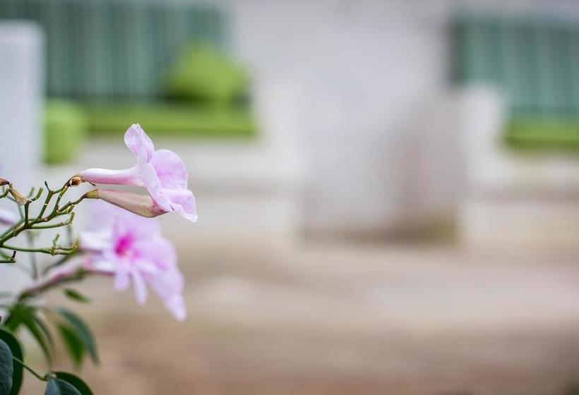 Bed and Breakfast Dimora Antonella  | Ostuni | Brindisi | Italia 17