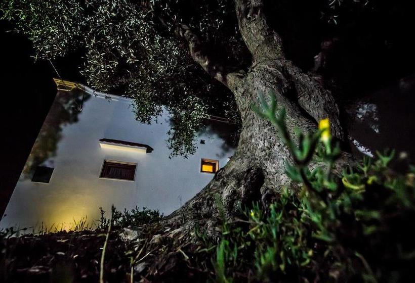 Bed and Breakfast Dimora Antonella  | Ostuni | Brindisi | Italia 19