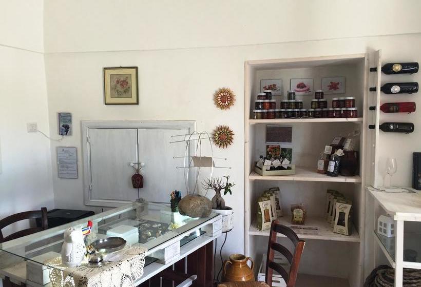 Bed and Breakfast Dimora Antonella  | Ostuni | Brindisi | Italia 3