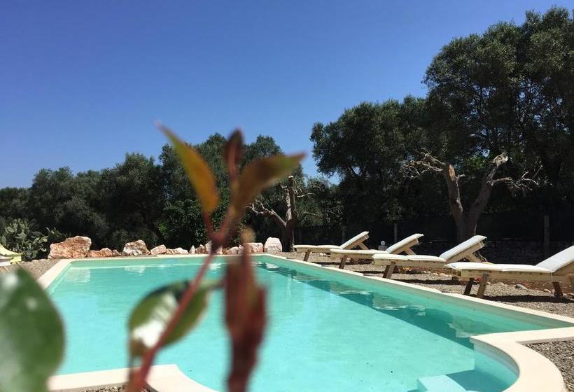 Bed and Breakfast Dimora Antonella  | Ostuni | Brindisi | Italia 6