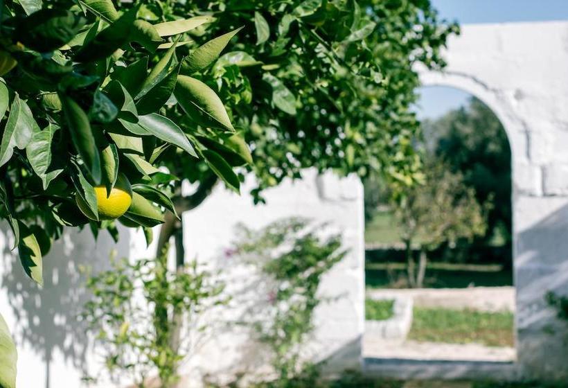 Bed and Breakfast Dimora Antonella  | Ostuni | Brindisi | Italia 9