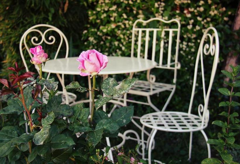 B&b La Casa Nel Borgo  | Bibbona | Livorno | Italia 1