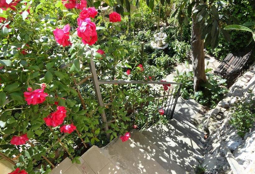 B&b La Casa Nel Borgo  | Bibbona | Livorno | Italia 18