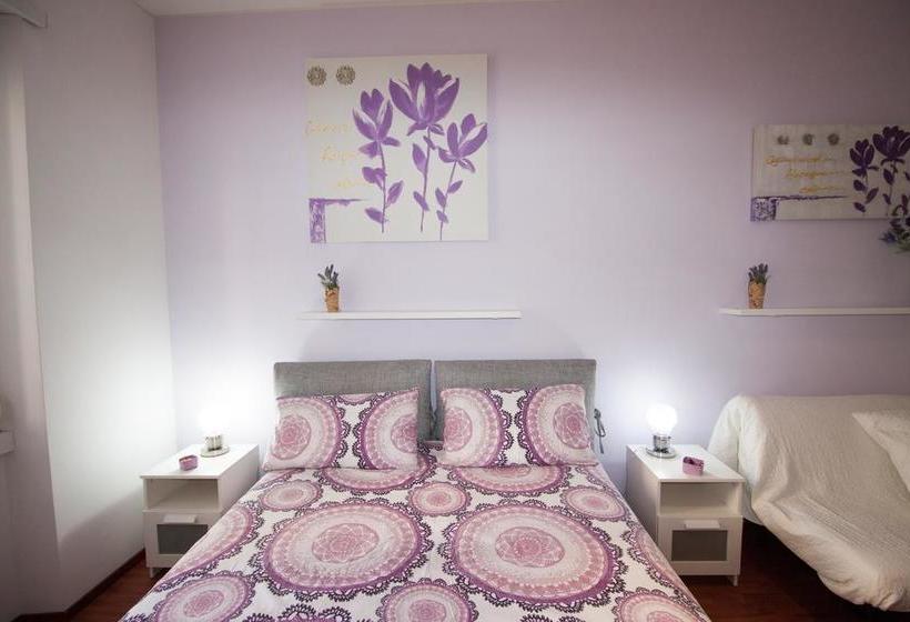 Bed and Breakfast Green Line  | Roma | Roma | Italia 7