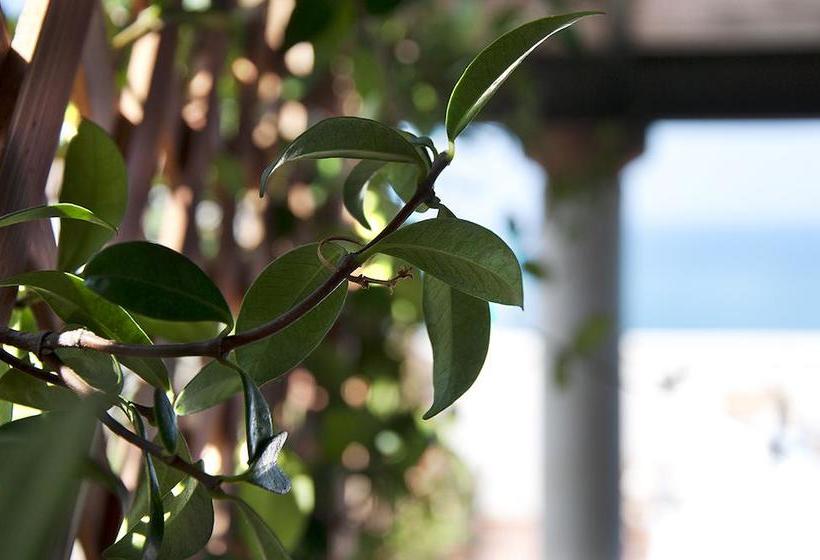 Bed and Breakfast Il Barone Del Mare  | Peschici | Foggia | Italia 6