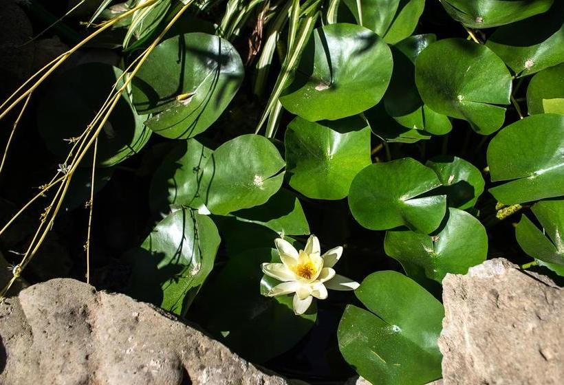 B&b Mare E Sole  | Brindisi | Brindisi | Italia 11