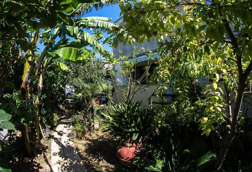 B&b Mare E Sole  | Brindisi | Brindisi | Italia 16