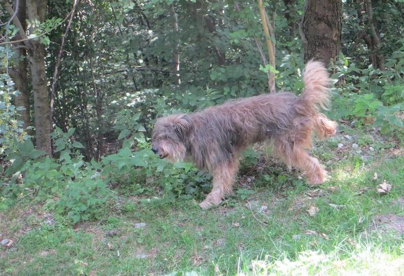 Bed and Breakfast Baita Bondella  | Como | Como | Italia 3