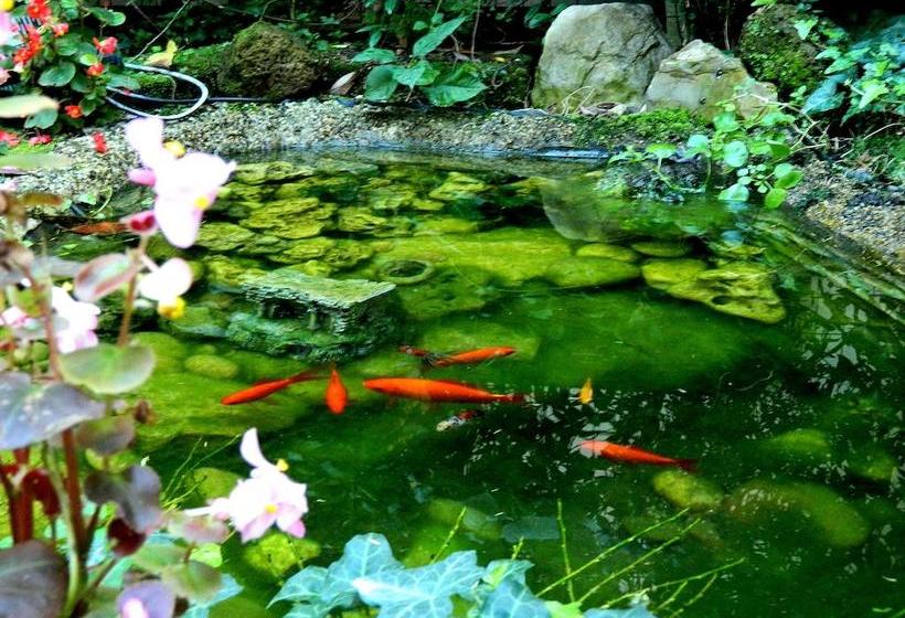 Il Campanile B&b  | Pisa | Pisa | Italy 20