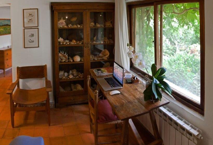 Bed and Breakfast Il Glicine Sul Golfo  | Mondello | Palermo | Italia 13