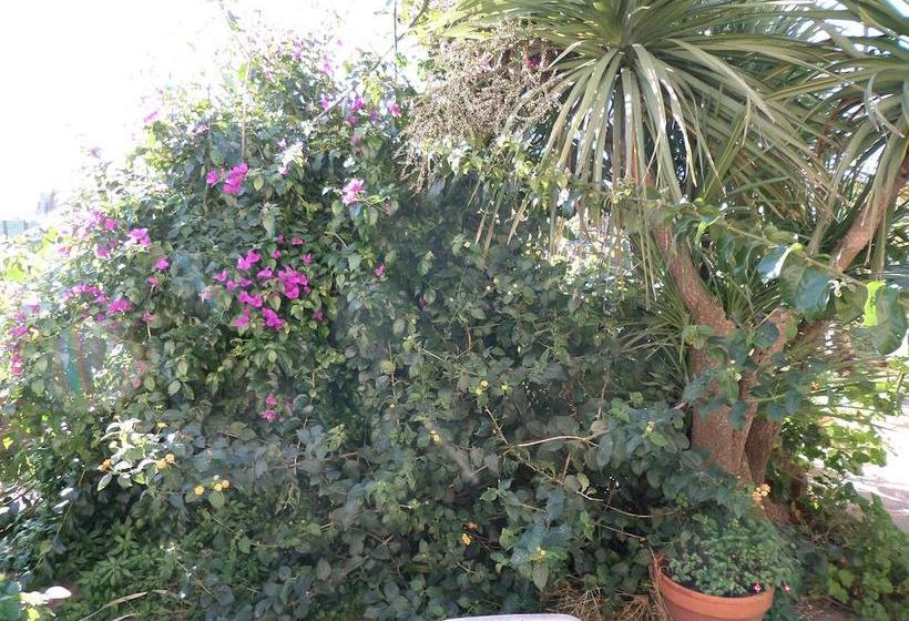 B&b Villino Lory  | Marino | Roma | Italia 11