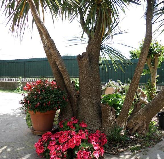 B&b Villino Lory  | Marino | Roma | Italia 20