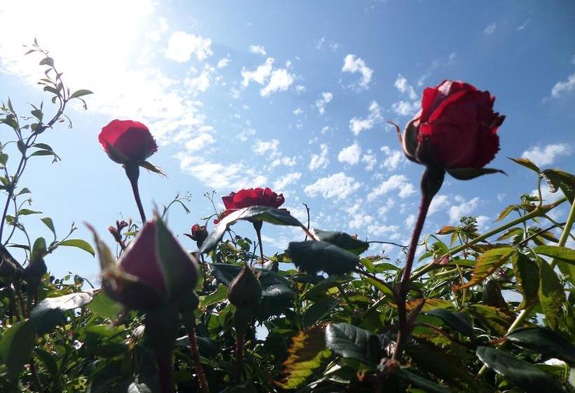 B&b Villino Lory  | Marino | Roma | Italia 3