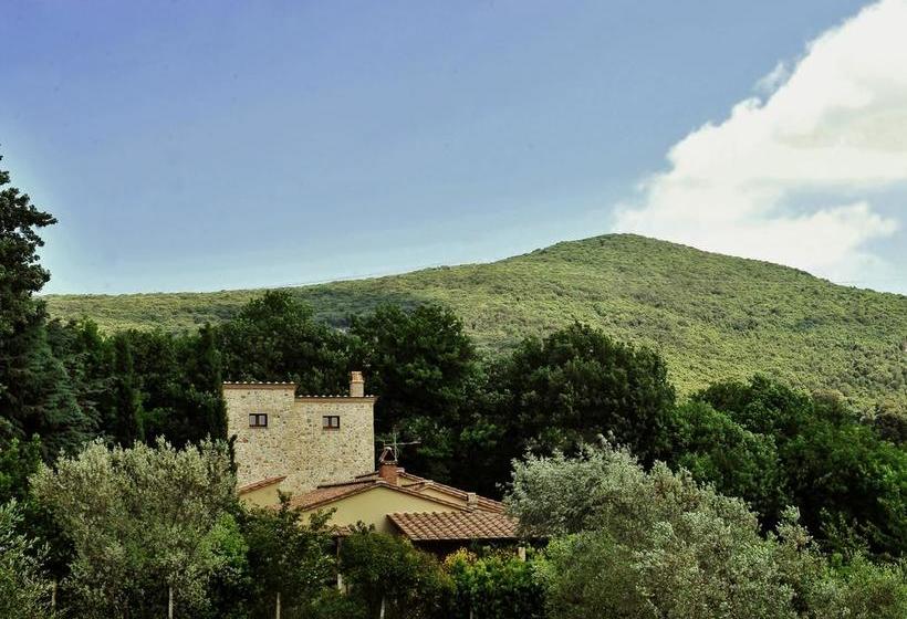 B&b And Wellness Il Pomario Di Montepiglio Amelia