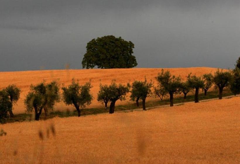 B&b And Wellness Il Pomario Di Montepiglio  | Amelia | Terni | Italie 13