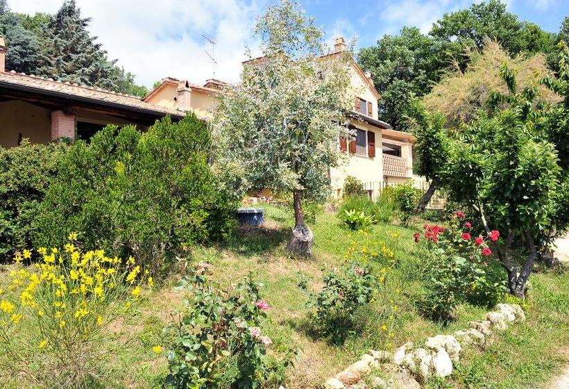 B&b And Wellness Il Pomario Di Montepiglio  | Amelia | Terni | Italie 18