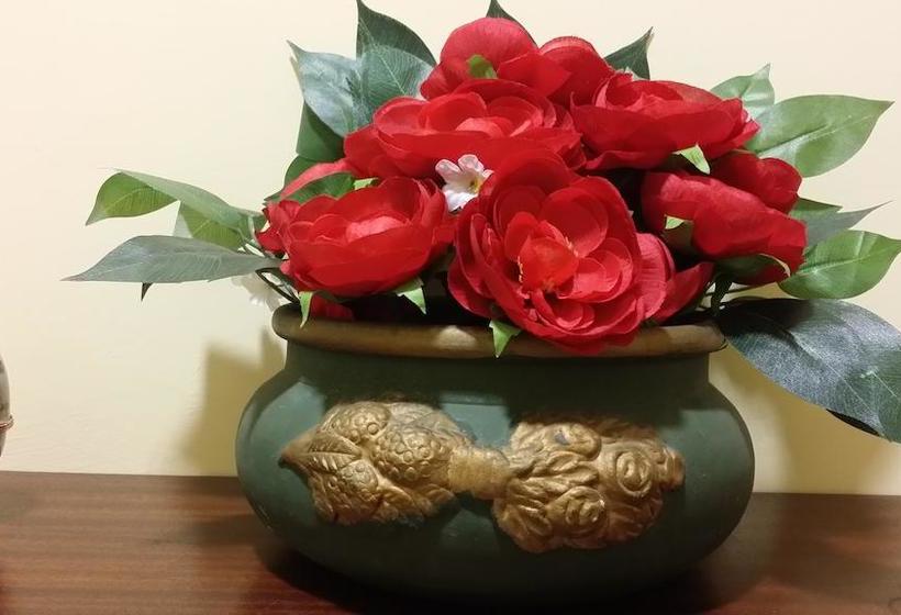 Hotel Miravalle  | Veroli | Frosinone | Italia 17