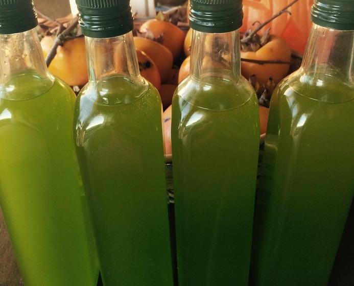 B & B San Jacopo  | Santomato | Pistoia | Italia 13