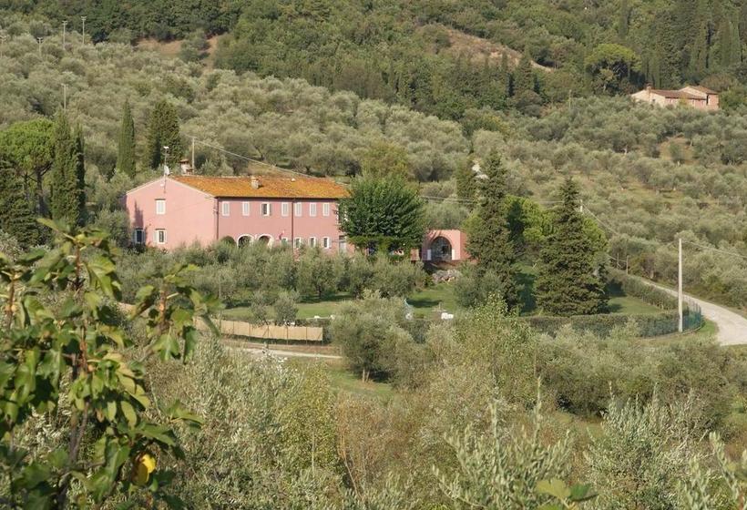 B & B San Jacopo  | Santomato | Pistoia | Italia 2