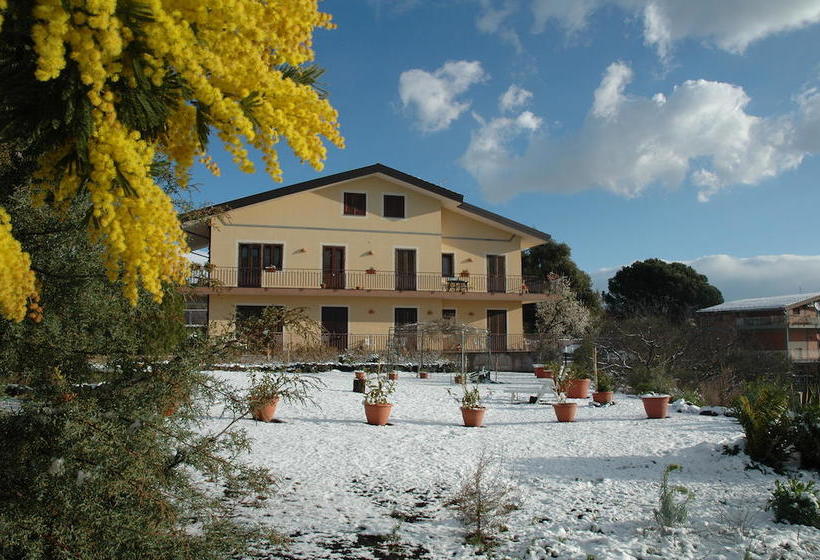 Bed and Breakfast Etna Torre Del Grifo  | Mascalucia | Catania | Italia 11