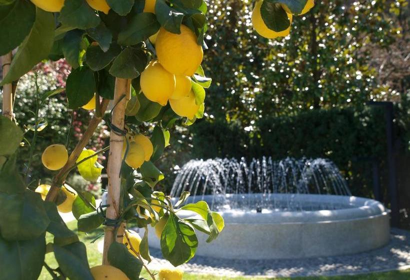 Park Hotel Villa Belvedere  | Cannobio | Verbano-Cusio-Ossola | Italien 19