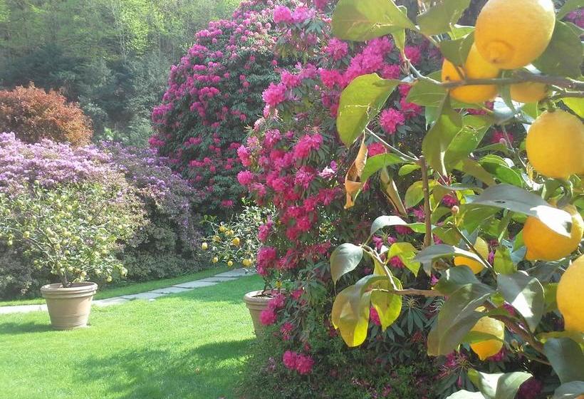 Park Hotel Villa Belvedere  | Cannobio | Verbano-Cusio-Ossola | Italien 6