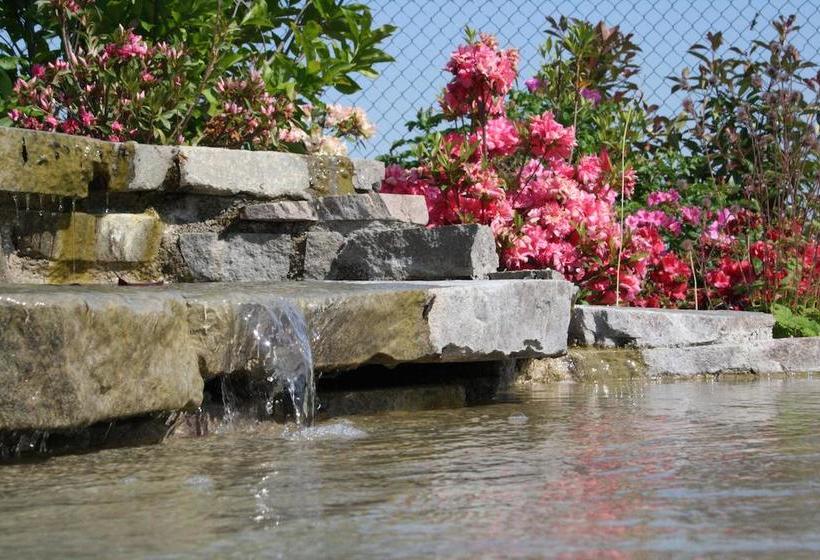 B&b Torricella  | San Giorgio di Piano | Bologna | Italy 1