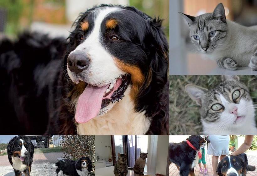 B&b Torricella  | San Giorgio di Piano | Bologna | Italy 18