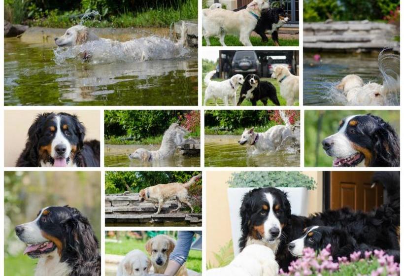 B&b Torricella  | San Giorgio di Piano | Bologna | Italy 19