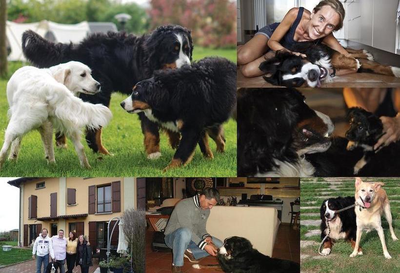 B&b Torricella  | San Giorgio di Piano | Bologna | Italy 20