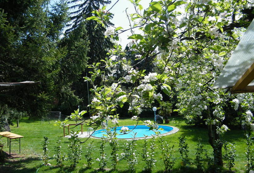 Hotel Angelica  | Merano | Bolzano | Italia 13