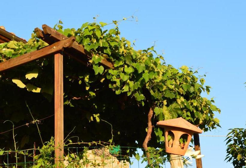 Bed and Breakfast Casa Della Madonna  | Montaione | Florence | Italia 12