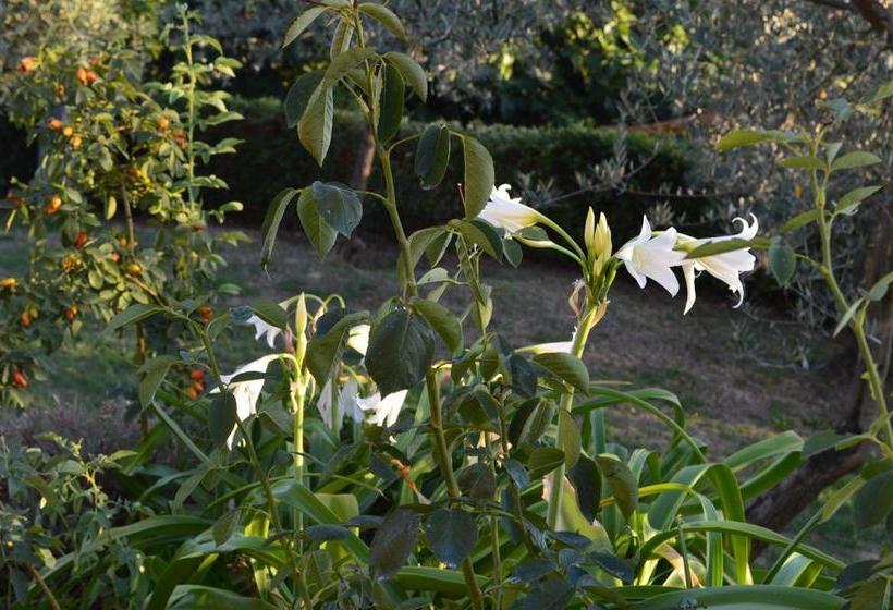 Bed and Breakfast Casa Della Madonna  | Montaione | Florence | Italia 20