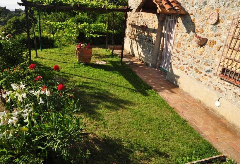 Bed and Breakfast Casa Della Madonna  | Montaione | Florence | Italia 6