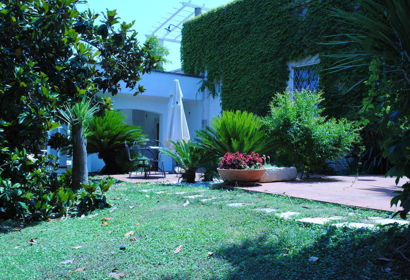 B&b La Magnolia  | Polignano a Mare | Bari | Italia 12