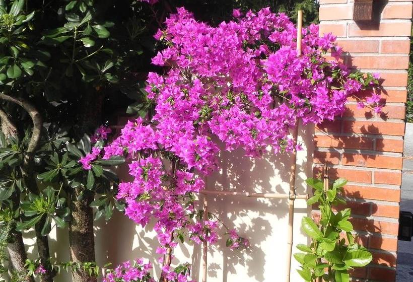 Bed and Breakfast Villa Il Fortino  | Lido di Camaiore | Lucca | Italia 1