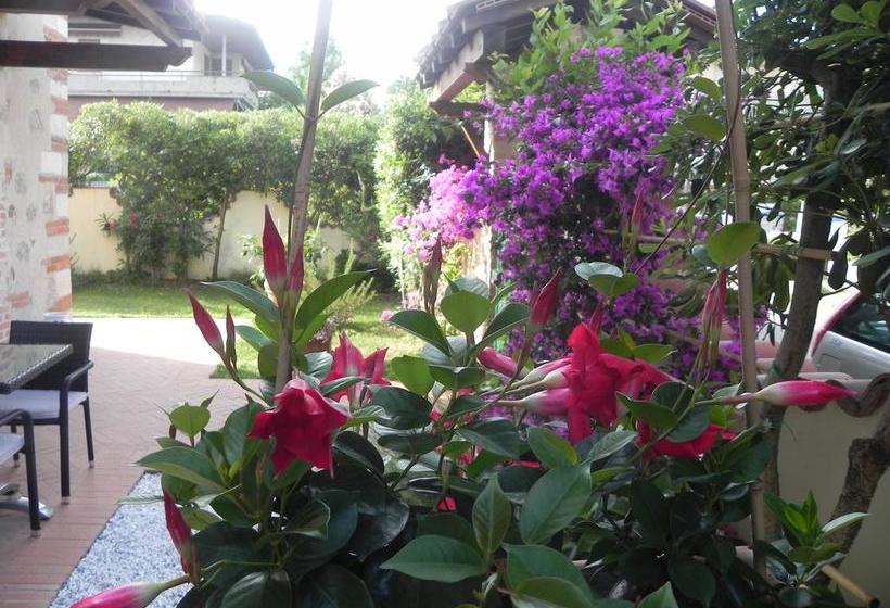 Bed and Breakfast Villa Il Fortino  | Lido di Camaiore | Lucca | Italia 5