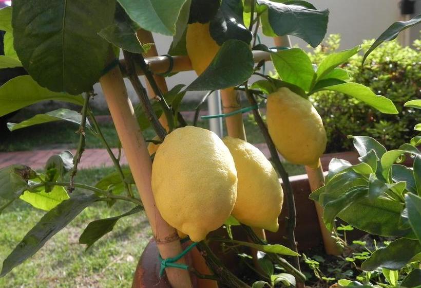 Bed and Breakfast Villa Il Fortino  | Lido di Camaiore | Lucca | Italia 9