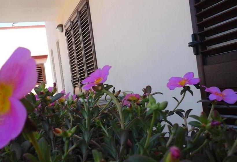 Bed and Breakfast La Chiocciola Del Salento  | Sannicola | Lecce | Italia 14