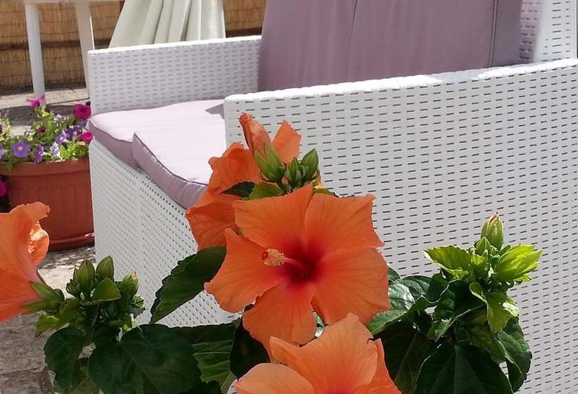 Bed and Breakfast La Chiocciola Del Salento  | Sannicola | Lecce | Italia 5