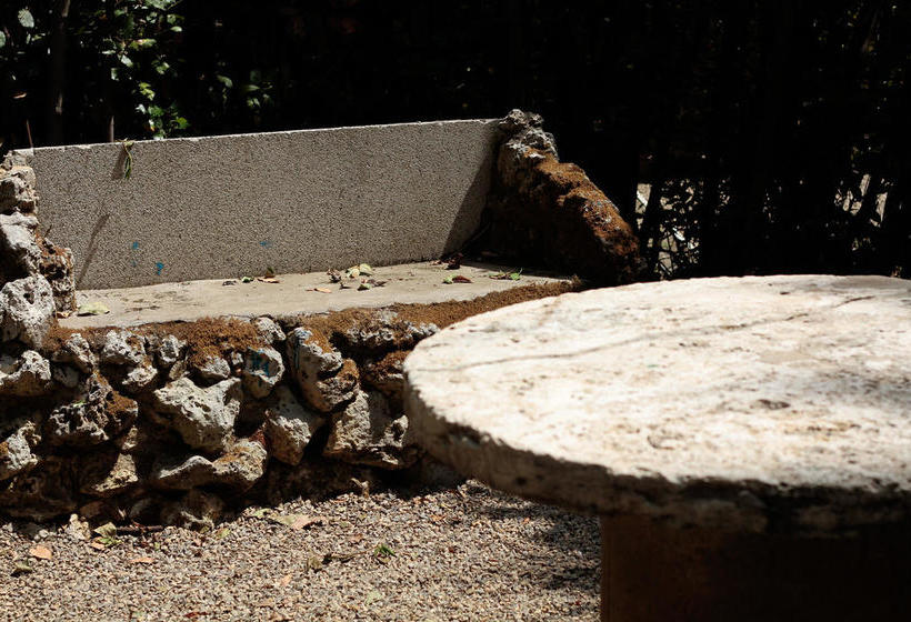 Bed and Breakfast Villa Zara  | Siena | Siena | Italia 18