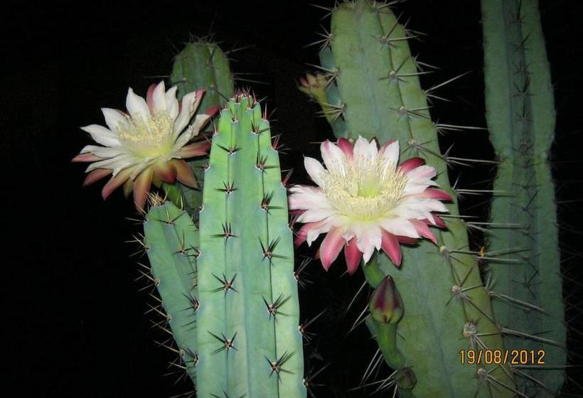 Bed and Breakfast Abiibii Sardinia  | Quartu Sant'Elena | Sardegna | Italia 9