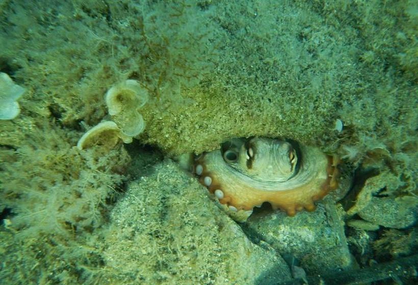 Hotel Piccolo  | Rosignano Solvay | Livorno | Italia 8