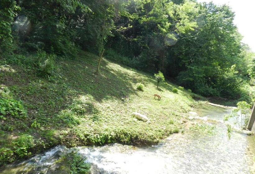 B&b Il Boschetto  | Torri del Benaco | Verona | Italia 11