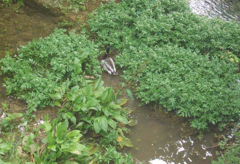 B&b Il Boschetto  | Torri del Benaco | Verona | Italia 19