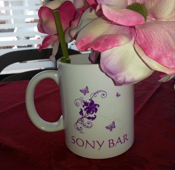 Bed and Breakfast Sony Affittacamere  | Desenzano del Garda | Brescia | Italia 16