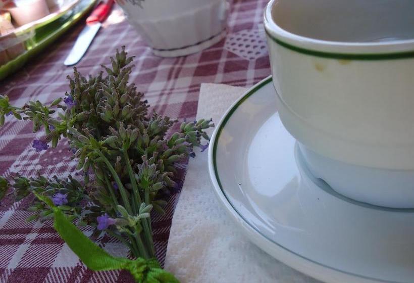 Bed and Breakfast Le Sete  | Bari | Bari | Italia 14