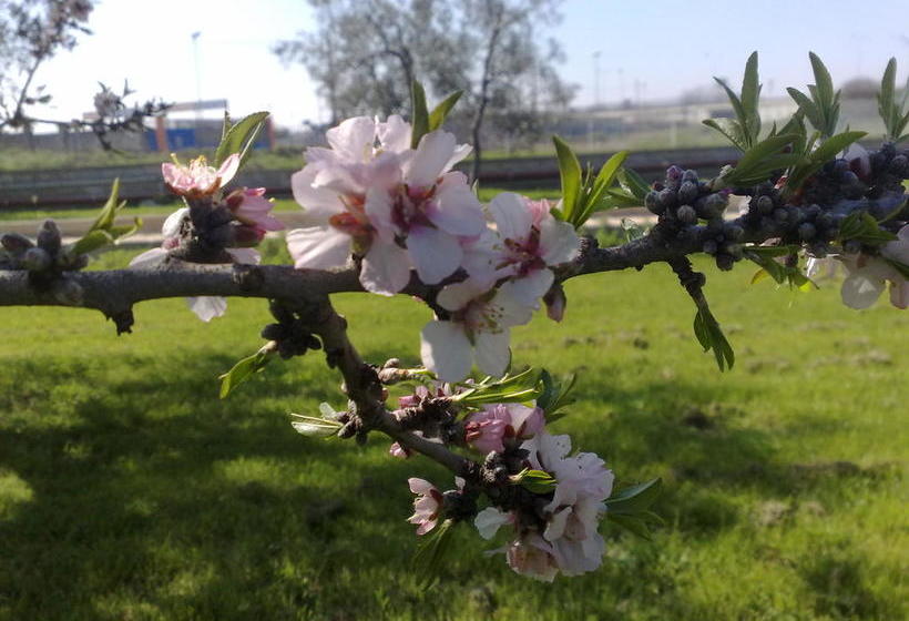 Bed and Breakfast Le Sete  | Bari | Bari | Italia 16