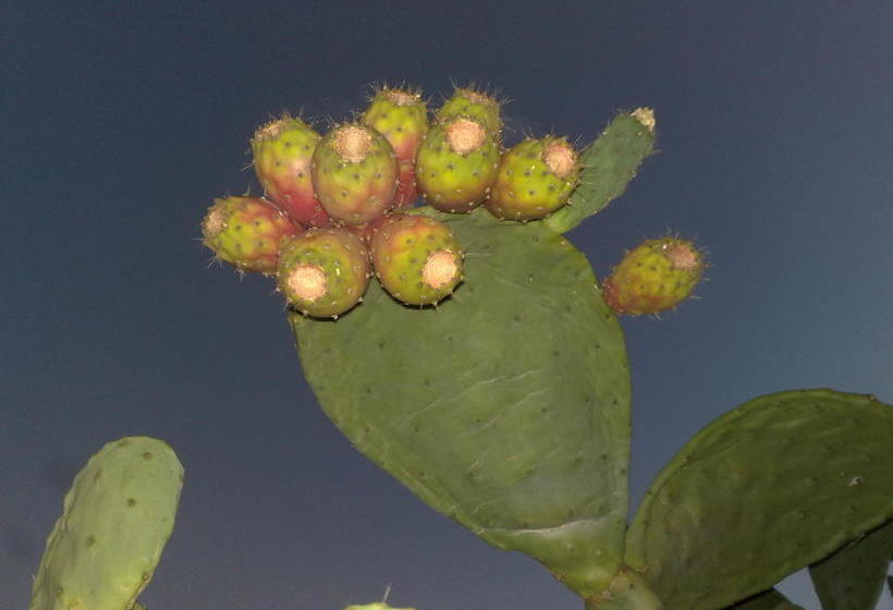 Bed and Breakfast Le Sete  | Bari | Bari | Italia 17